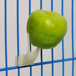 Novo 1 pçs pássaros papagaios frutas garfo para animais de estimação suprimentos plástico suporte de alimentos prateleira alimentação na gaiola suprimentos para animais de estimação frutas lanches garfo - Image 5