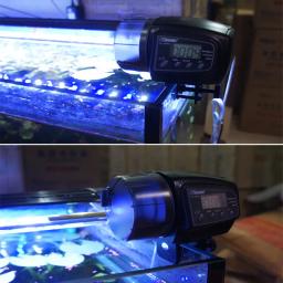 Temporizador automático do aquário com LCD, alimentador do tanque de peixes, alimentador do alimento da lagoa, alimentação automática - Image 3