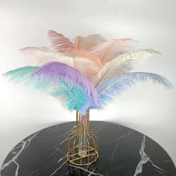10 pçs/lote penas de avestruz coloridas branco preto pena de avestruz decoração peças centrais de mesa vasos decoração de festa de casamento de feriado - Image 3