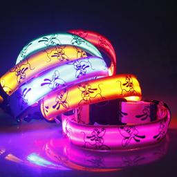 Coleira de cão led luz noite segurança náilon pet coleira de cão brilhante brilhante colar de cão de estimação itens eletrônicos - Image 1