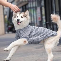 Grandes roupas para cães camisola de inverno tamanho 3xl-9xl roupas para animais de estimação golden retriever casacos para cães - Image 4