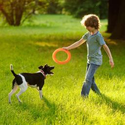 Anel de treinamento interativo para cães grandes, Extrator resistente para cães, Pet Flying Discs, Brinquedo anel de mordida para cães pequenos - Image 4