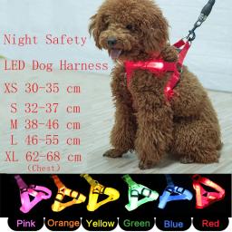 Nylon LED Arnês de Segurança para Animais de Estimação, Acessórios para Cães, Luz Piscando, Arnês, Corda Trela, Cinto, Colarinho, Pet Supplies - Image 6