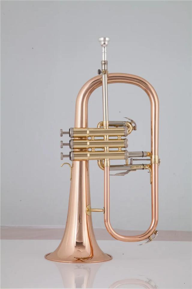 Flugelhorn Bb de Metal Lacquer Rose Brass com Bocal e Case - Instrumento Musical Profissional à Venda com Frete Grátis