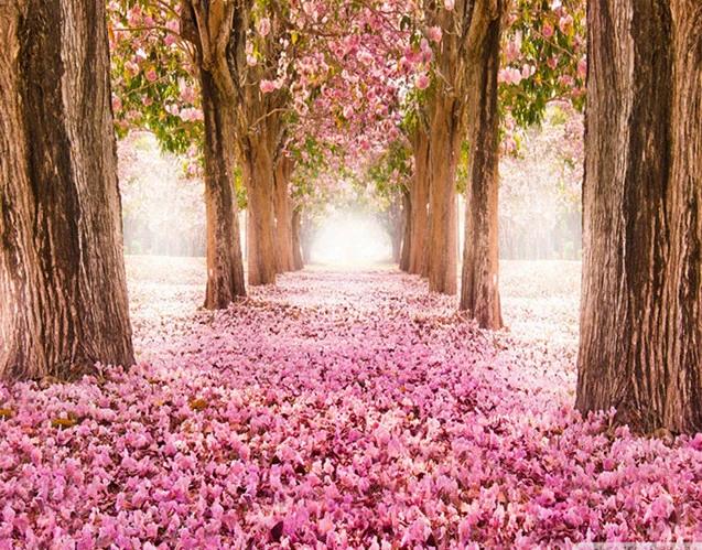 Pintura de Paisagens por Números Huacan: Arte DIY em Tela para Decoração e Presentes Exclusivos
