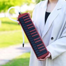 1 conjunto 32 chave melodica boca pedaço sopro chave placa com caixa portátil abs acordeão instrumento de treinamento musical para iniciante - Image 3
