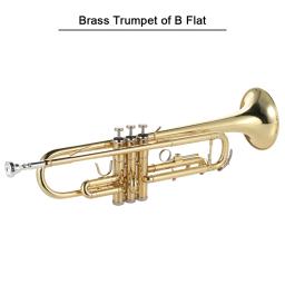 Ammoon-Brass Bb plana trompete, requintado, durável instrumento musical, bocal, luvas, caso de cinta, requintado - Image 3