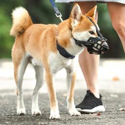 Ajustável respirável cão focinhos, focinhos para pequenos médios e grandes cães, parar de morder, latir, mastigar, pet fornecimentos - Image 1
