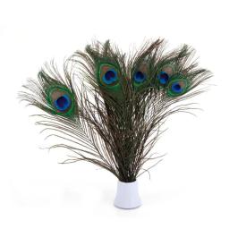 Penas de pavão reais naturais para artesanato, penas longas, pena de pavão, decoração de jóias, carnaval, 50pcs por lote - Image 4
