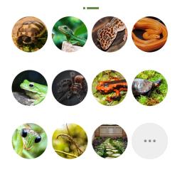 Réptil Grosso de Dupla Camada para Animais de Estimação, Tapete De Musgo, Material De Almofada, Sapo, Tartaruga, Cobra, Lagarto, Hidratante, Tapetes De Gramado Falso - Image 6
