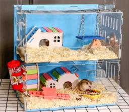 Tipo bandeja gaiola de hamster acrílico dupla camada super grande villa ninho gaiola pacote suprimentos conjunto completo de animais vivos mais - Image 2