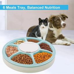 Alimentador automático para animais de estimação gato alimentador 24h temporizador 6 grades cão gato comida dispensador cães gatos elétrica seco molhado comida prato alimentação para animais de estimação suprimentos - Image 2