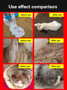 Cão pele doença tópica pomada infecção fúngica antipruriginoso antibacteriano cão micose eczema gato micose cuidado pomada - Image 5
