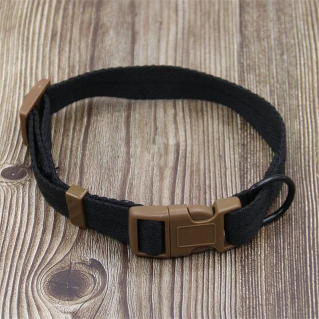 Coleira Ajustável para Cães em 5 Cores - Conforto e Estilo para Seu Pet