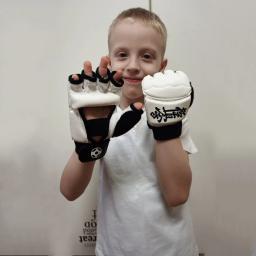 Kyokushin Karate Fighting Hand Protector, Luvas De Karate, Artes Marciais, Luvas De Boxe Fitness, Qualidade - Image 1