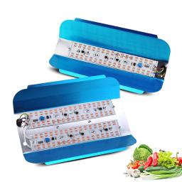 COB LED Grow Light para Plantas, Espectro completo, Iluminação interior para barraca, Cultivo Phytolamp, Lâmpadas de Semeadura para Plantas, 100W - Image 1