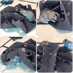 Tapete do jogo para gatos interativos que riscam o tapete da cama que consome energia para o gato interno - Image 3