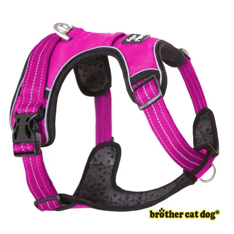 Coleira para cães, coleira forte para animais de estimação, ajustável, macia, para lojas de animais de estimação, produtos para pets - Image 1