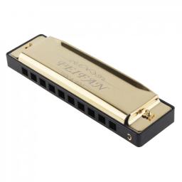 Gaita 10 buracos 20 tonec matte gaita de ouro blues harpa boca órgão instrumento musical de aço inoxidável para iniciante - Image 2