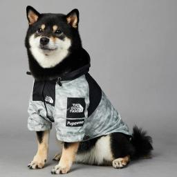 Impermeável para cães pequenos e grandes, Casaco de vento, Blusão, Hoodie do buldogue francês, Roupas para cães, Jaqueta para Chihuahua, Rosto - Image 1