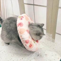 Novo gato de estimação cães recuperação de saúde elizabetana algodão enchimento colarinho de proteção médica cone e-collar para cão e gato - Image 5