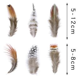 50 unidades/pacote penas de faisão pecock naturais para artesanato diy jóias fazendo acessórios pequenas plumas de frango decoração atacado - Image 6