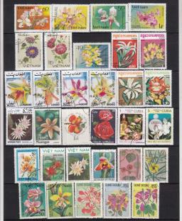 50 pcs/set flores todos diferentes de muitos países NÃO repete com selos postais para coleta - Image 4
