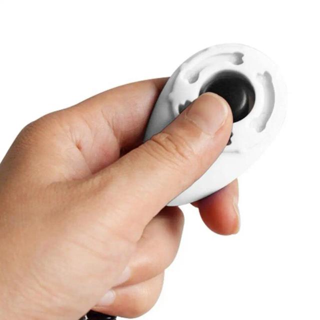 Botão Interativo para Treinamento de Pets com Método em Forma de Gota para Cães