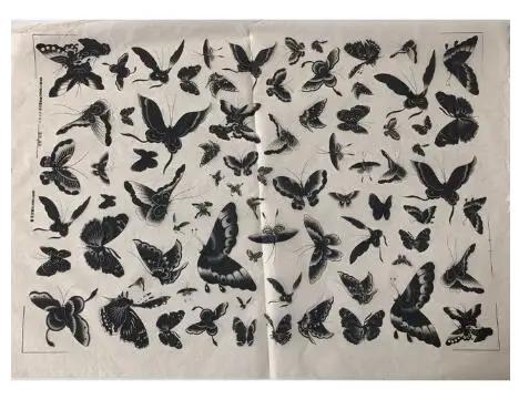 Conjunto de 2 Decalques de Cerâmica Underglaze Coloridos para Flores em Papel de Transferência de Alta Temperatura