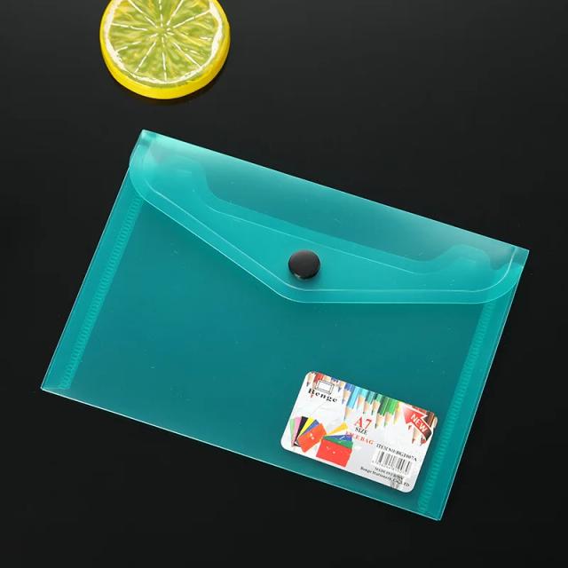 Bolsa de Dados Fosca com Fivela Transparente e 3 Argolas - Prática e Estilosa para Escritório e Estudantes