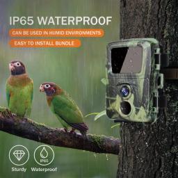 Mini câmera de caça para trilha, 20mp, 1080p, armadilha para fotos selvagens, mini600, floresta, animais, ip65, à prova d'água, faixa de vigilância - Image 3