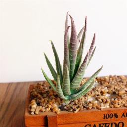 Plantas Suculentas Artificiais, Aloe Zebrina Plant, Arranjo De Flores Falsas, Decoração De Jardim, Paisagem, 7x10cm - Image 5