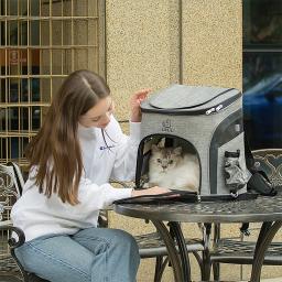Mochila para viagem de animais de estimação, esportiva, portátil, dobrável, respirável, cattery, pet, mochila, cães, gatos, brinquedos - Image 4