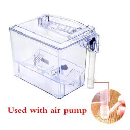 Transparente Fish Tank Isolation Box com bomba de água, montagem na parede, externo Aquarium Breeding Box, Fish Bowl Incubadora - Image 4