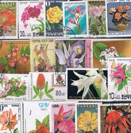 50 pcs/set flores todos diferentes de muitos países NÃO repete com selos postais para coleta - Image 3