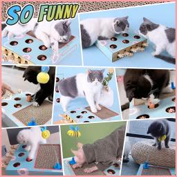 Produtos para animais de estimação multifuncionais interativos, Brinquedos enriquecidos com gatos interiores, Arranhador ondulado, Brinquedos engraçados do gato, Hamster - Image 6