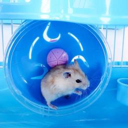 3-storey pet hamster gaiola casa de luxo portátil ratos casa habitat decoração pequenos animais de estimação chinchila hamster casa gaiola - Image 3