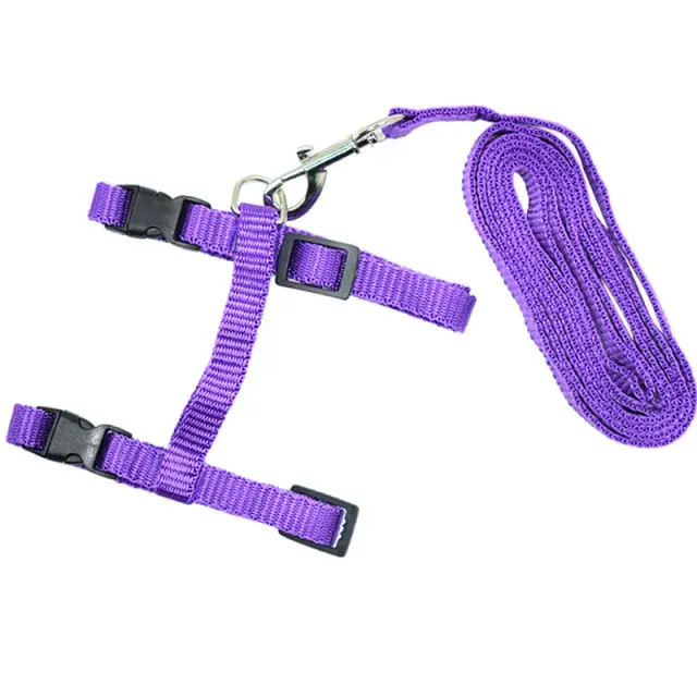 Arnês e Trela Ajustáveis de Nylon para Gatos e Cães - Conforto e Estilo para Seu Pet