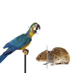 Colar pássaro papagaio mordida anti pescoço suprimentos neckband recuperação colar pet cone arrancando coleiras capa aves picking elizabethan - Image 2