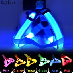 Nylon LED Arnês de Segurança para Animais de Estimação, Acessórios para Cães, Luz Piscando, Arnês, Corda Trela, Cinto, Colarinho, Pet Supplies - Image 1