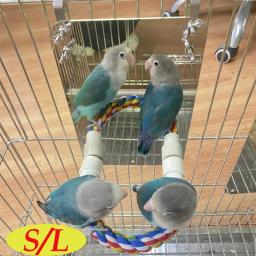 Espelho de aço inoxidável para aves com suporte de corda, brinquedo de espelho para aves com suporte para gaiola de papagaio, pássaros, guardanapos - Image 1
