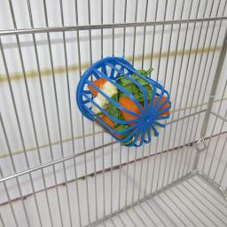Gaiola alimentadora multiuso para animais de estimação, cesta criativa de alimentação de frutas e vegetais para pendurar em gaiola, 2 peças - Image 3