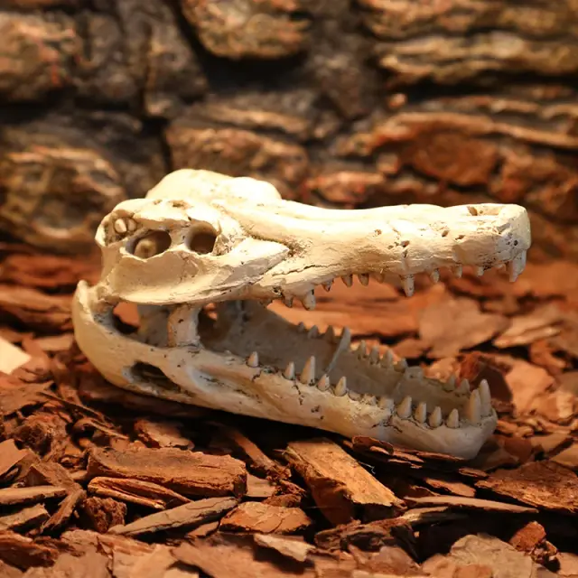 Decoração de Aquário com Crânio de Dinossauro e Répteis em Simulação de Paisagem Aquática