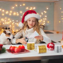 20 metros/rolo ouro prata cabo elástico redondo alta elástica metálico enfeites corda para o natal diy embalagem artesanato roupas tag - Image 4