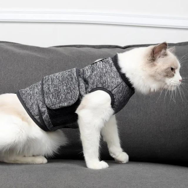 Terno de Recuperação para Gatos: Colete de Reabilitação Pós-Operatória e Proteção para Tratamento.