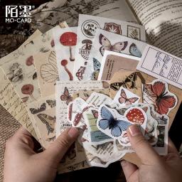 Pacote de adesivos DIY Scrapbooking vintage, retro decorativo, coleção natural, diário, diário, adesivo de papel Washi para arte, 30 peças por conjunto - Image 5