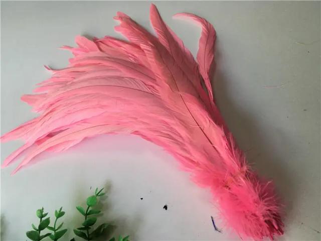 Penas Naturais de Cauda de Galo e Faisão para Artesanato e Casamentos - Lote com 10 Peças de 25-30cm