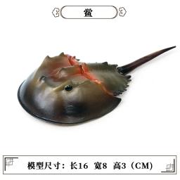 Figuras de ação colecionáveis de animais do mar, modelos de figuras de brinquedo, imitação de caranguejo, skate, ferradura, polvo, tartarugas do mar, presente para crianças - Image 5