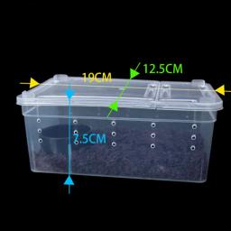 Terrário para répteis, caixa de plástico transparente, transporte de insetos, caixa de alimentação para reprodução, transporte de comida viva, drop shipping - Image 6