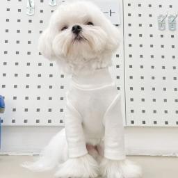 Moletom de gola macia para gatos e cães, Pet roupas, moletom, pulôver, suéter, camisa, roupas para cães pequenos, Chihuahua, Bichon, Pug, 5 tamanhos - Image 4